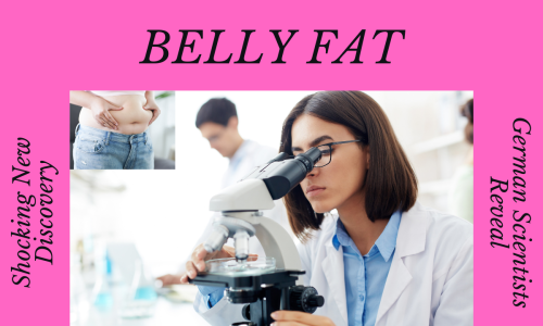 German researchers make breakthrough discoveries in belly fat metabolism
