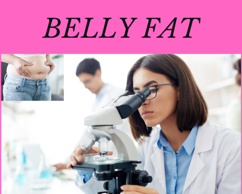 German researchers make breakthrough discoveries in belly fat metabolism
